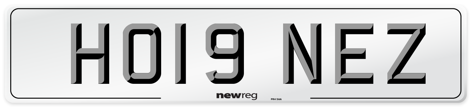 HO19 NEZ Number Plate from New Reg